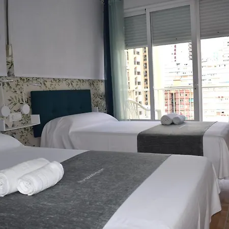 Pato Levante * Benidorm