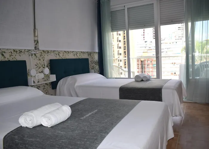 Pato Levante * Benidorm